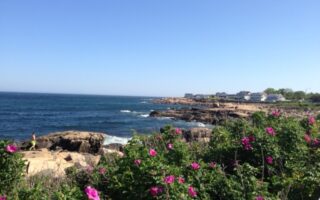 Atlantic Road, Back Shore, Gloucester MA neversaydiebeauty.com @redAllison