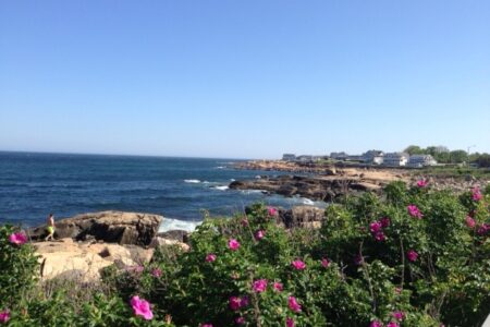 Atlantic Road, Back Shore, Gloucester MA neversaydiebeauty.com @redAllison