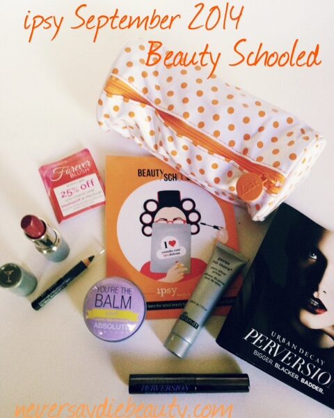 Beauty Schooled Glam Bag