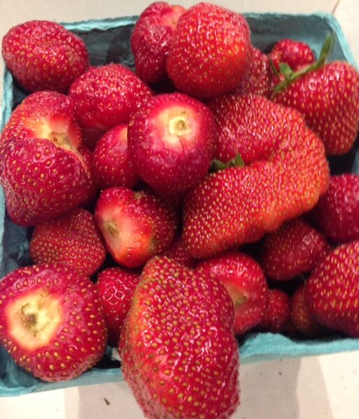 fresh picked strawberries