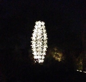 illuminated sculpture Desert Botanical Gardens Scottsdale AZ