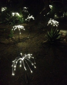 Bruce Munroe installation, Desert Botancal Gardens Scottsdale AZ, white lights like flowers