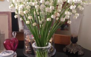 white lilies of the valley in a vase neversaydiebeauty.com @redAllison