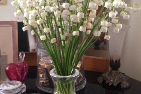 white lilies of the valley in a vase neversaydiebeauty.com @redAllison