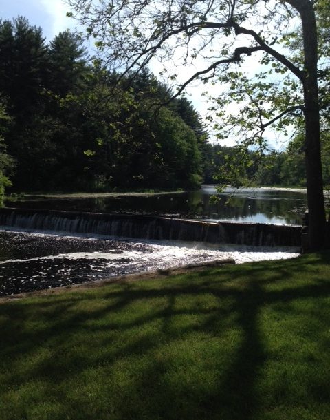 Ipswich River, upriver view from the falls at Foote Brothers neversaydiebeauty.com @redAllison