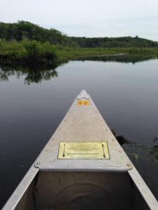tip of our rented canoe on the Ipswich River
