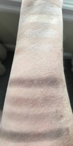 swatches from Jesse's Girl Dream Girl shadow palette, neversaydiebeauty.com
