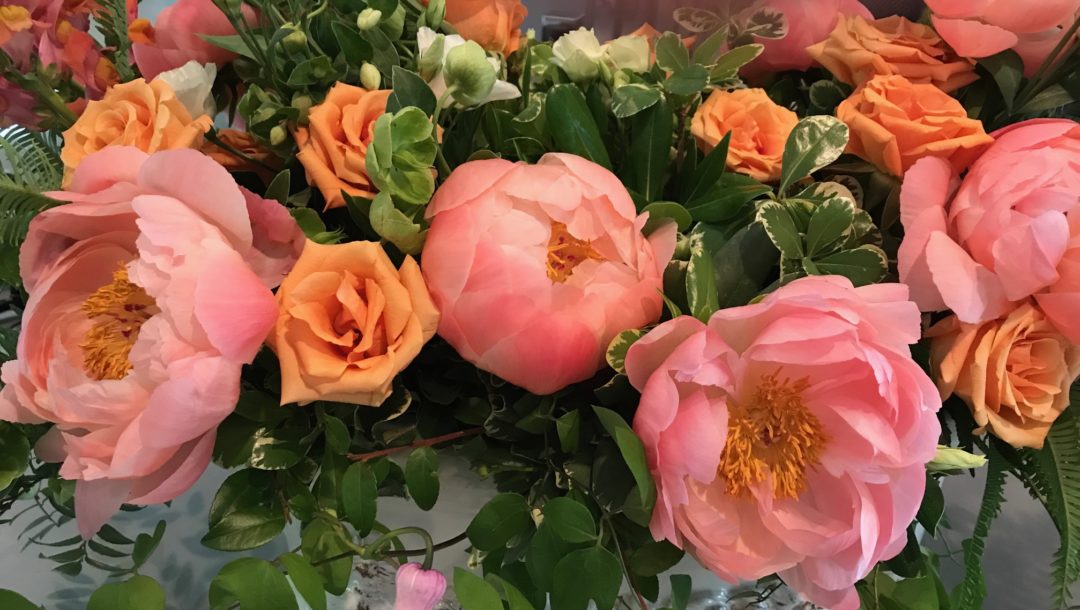 floral display of peach colored peonies and roses at the Museum of Fine Arts Boston, neversaydiebeauty.com