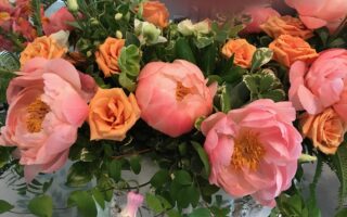 floral display of peach colored peonies and roses at the Museum of Fine Arts Boston, neversaydiebeauty.com