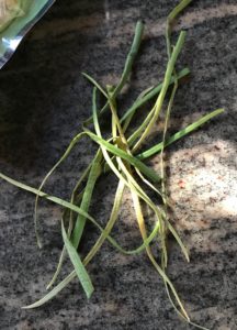 dried ends of the garlic scapes that were cut off and discarded