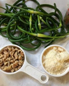 walnuts, parmesan cheese and garlic scapes, ingredients for pesto, neversaydiebeauty.com