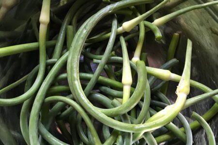 garlic scapes, cleaned and cut in half, neversaydiebeauty.com