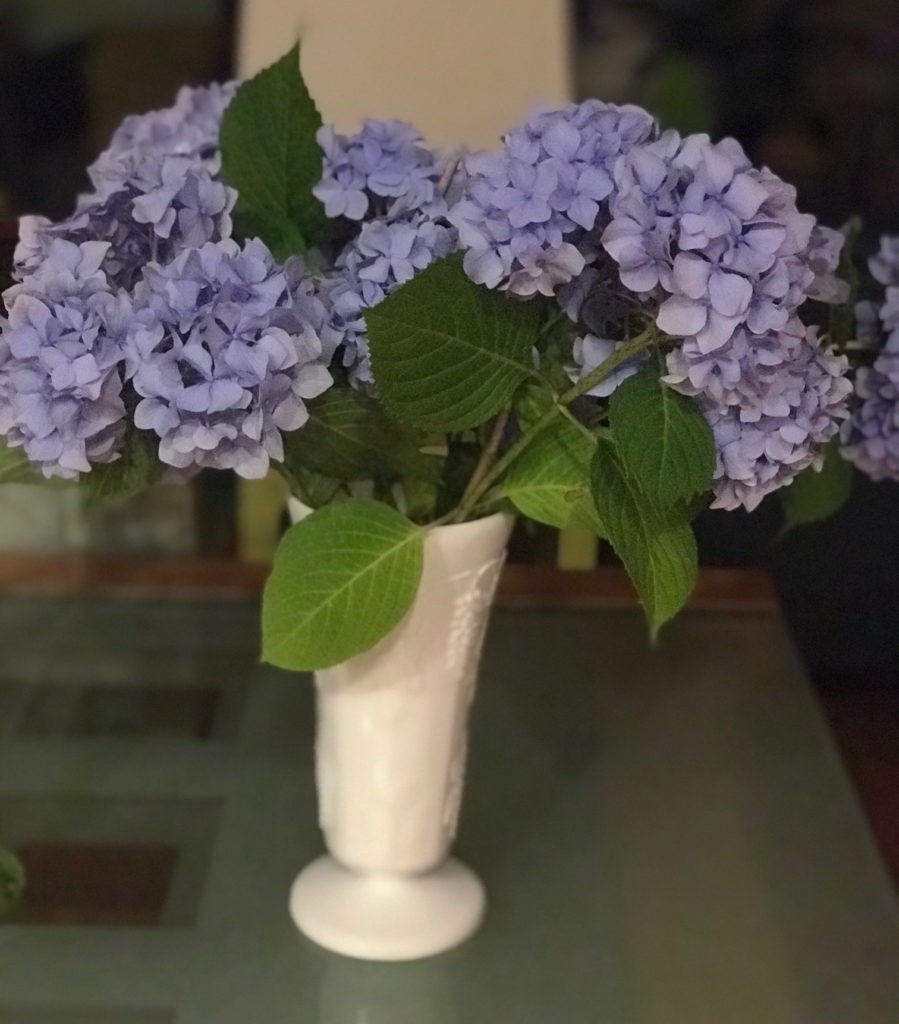 blue hydrangeas in a white vase, neversaydiebeauty.com