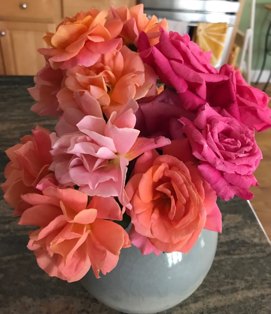 Disney and pink roses in a vase, neversaydiebeauty.com