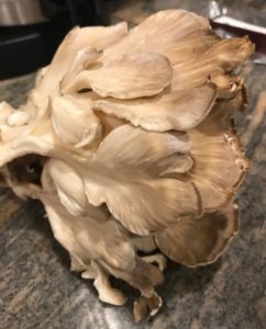 hen of the woods "leaves"