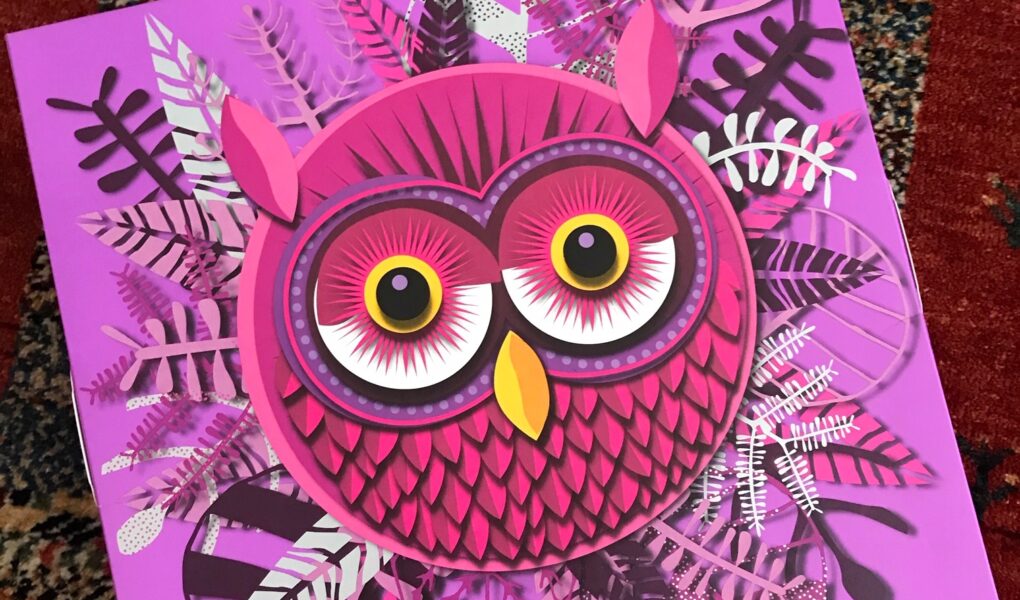 Enchanted Beauty Advent Calendar from The Body Shop 2018 featuring a pink owl on the front, neversaydiebeauty.com