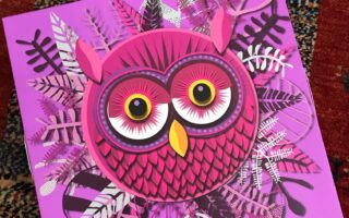 Enchanted Beauty Advent Calendar from The Body Shop 2018 featuring a pink owl on the front, neversaydiebeauty.com