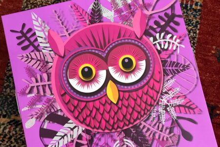 Enchanted Beauty Advent Calendar from The Body Shop 2018 featuring a pink owl on the front, neversaydiebeauty.com