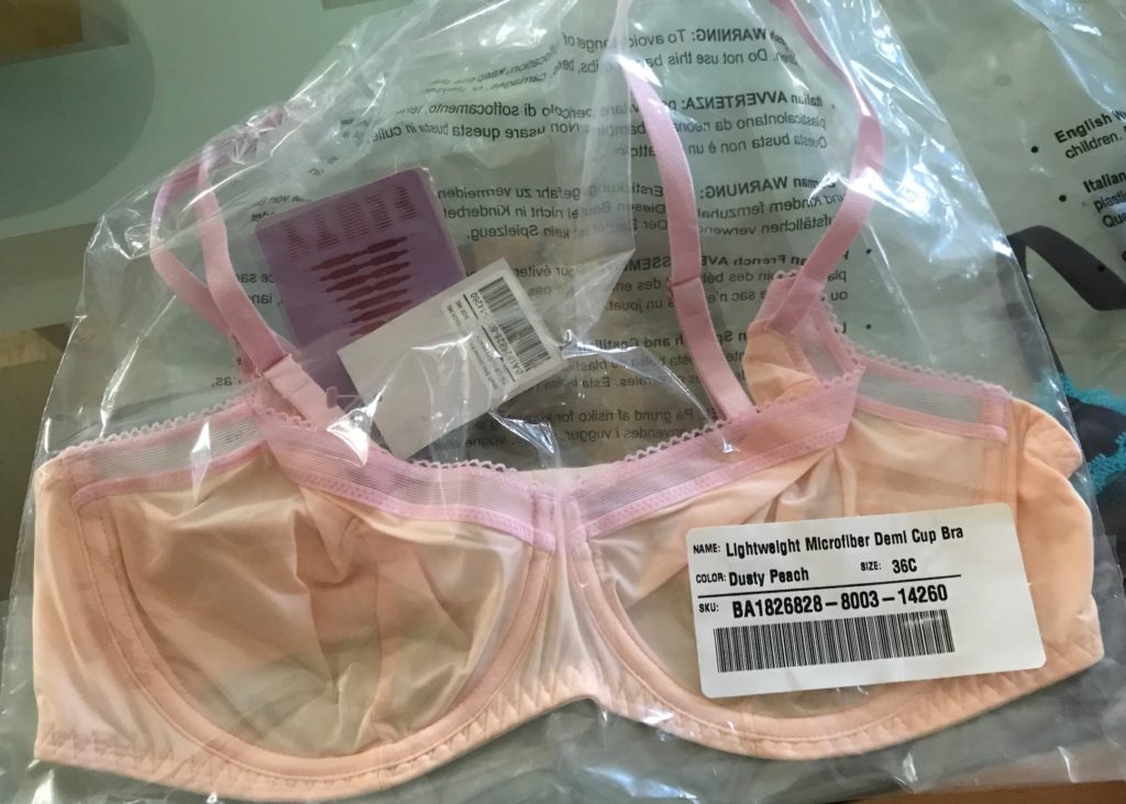 Savage x Fenty bra arrived in a plastic bag within the shipping box, neversaydiebeauty.com