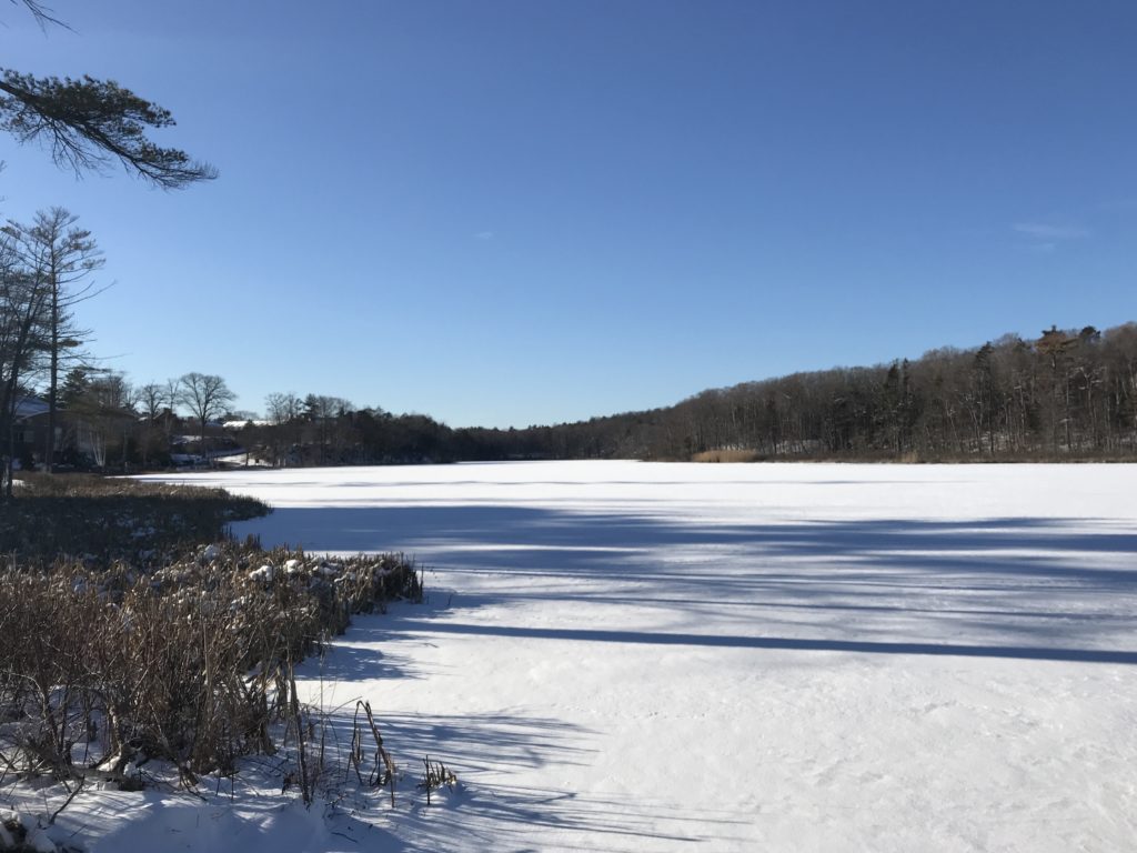 Coy Pond at Gordon College Wenham MA in winter, neversaydiebeauty.com