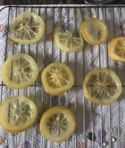 candied lemon slices drying on rack, neversaydiebeauty.com