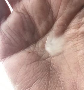 a sample of the Sol de Janeiro Moisturizing Shower Cream-Gel that is lotiony in my hand, neversaydiebeauty.com
