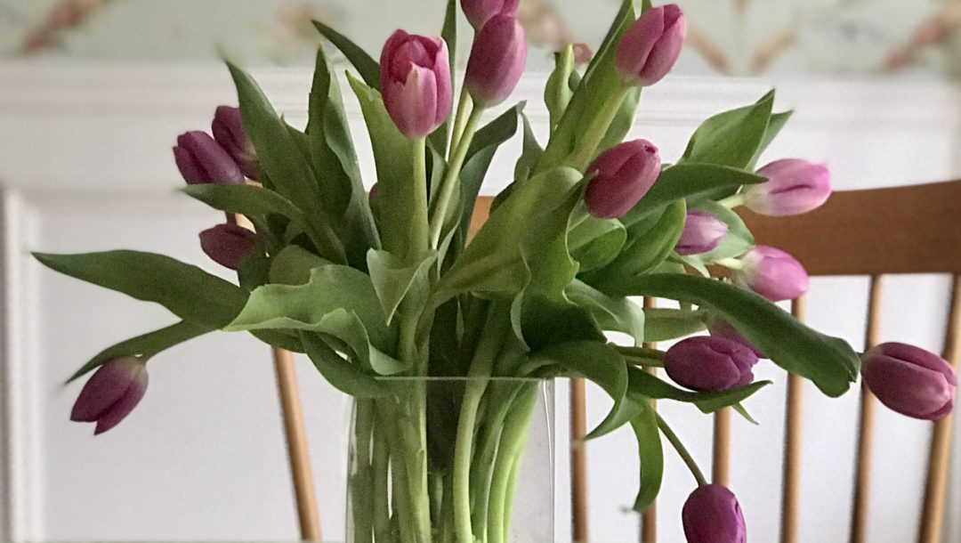 cropped arrangement of pink tulips in glass vase, neversaydiebeauty.com