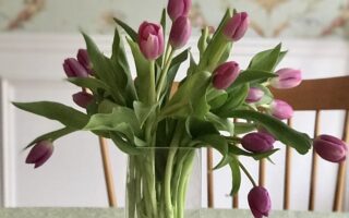 cropped arrangement of pink tulips in glass vase, neversaydiebeauty.com