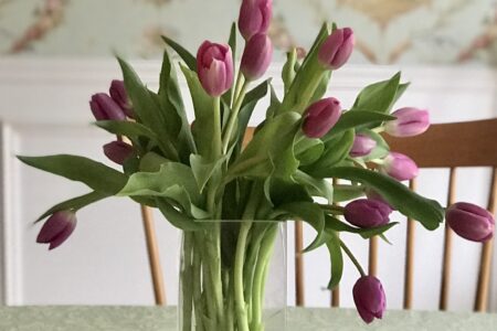 cropped arrangement of pink tulips in glass vase, neversaydiebeauty.com