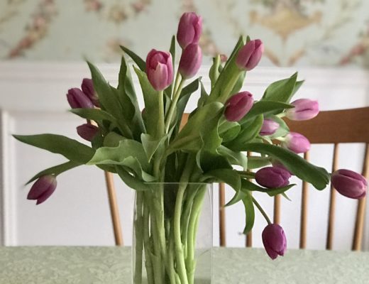 cropped arrangement of pink tulips in glass vase, neversaydiebeauty.com