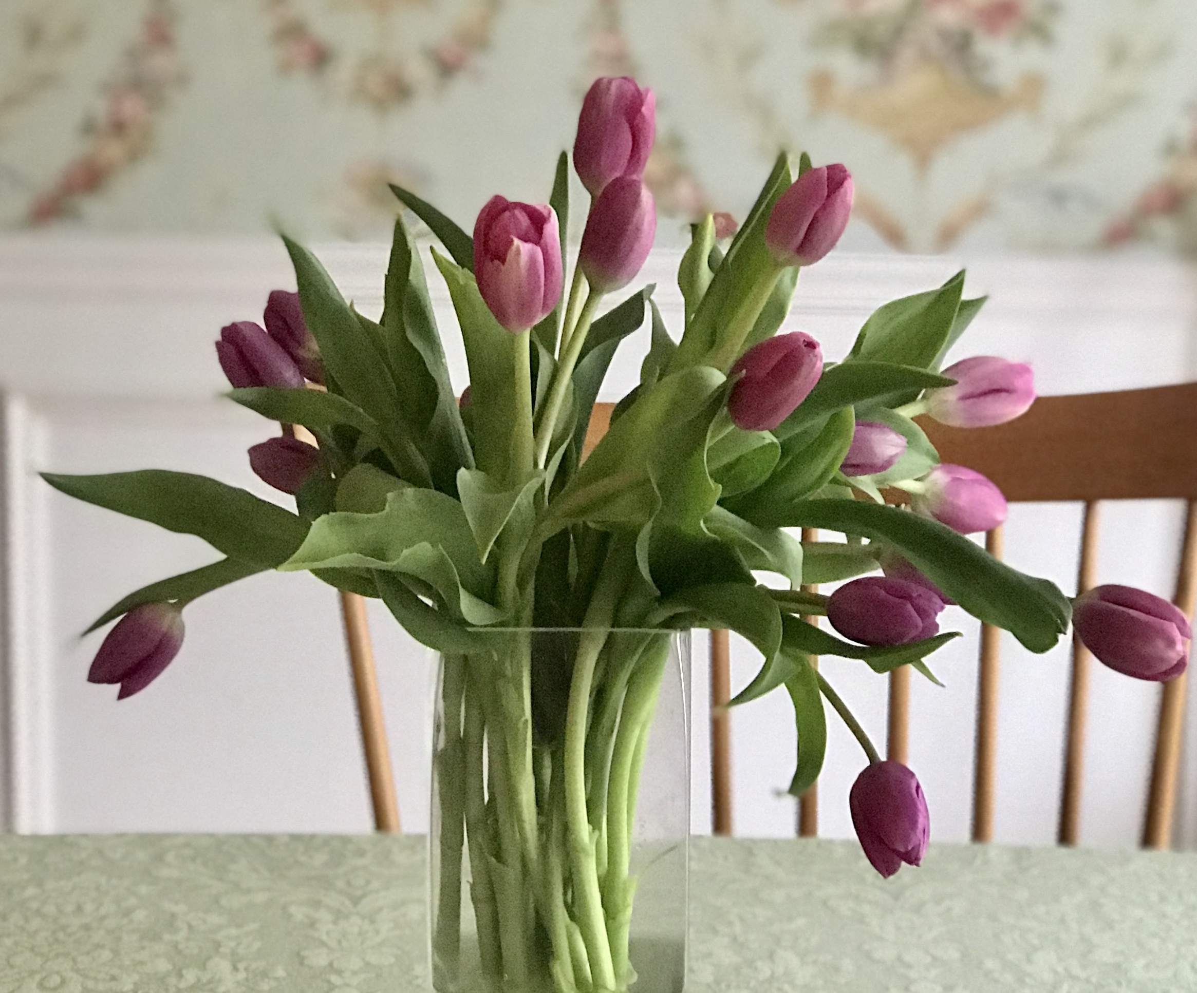 cropped arrangement of pink tulips in glass vase, neversaydiebeauty.com