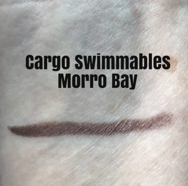 swatch of Cargo Swimmables Longwear Shadow Stick in the brown/eggplant shade called Morro Bay