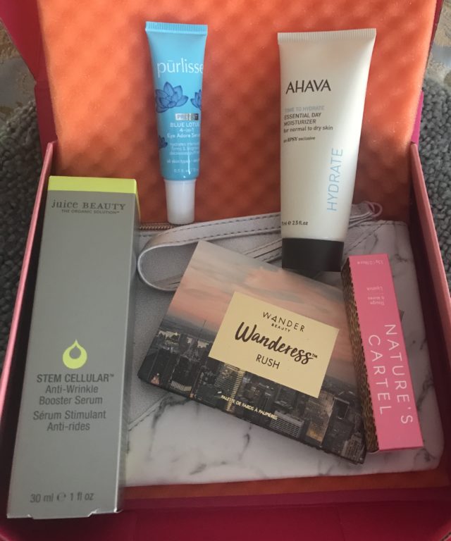 my January 2020 Ipsy Plus box "Clean Slate" open to show the beauty products in their outer packaging