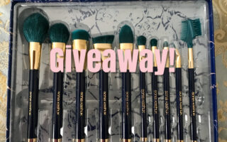 set of 10 makeup brushes with the title Giveaway