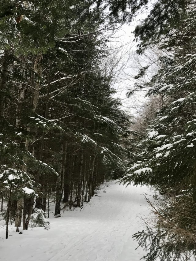 entrance to the trail for snow shoeing near Cannon Mountain, Franconia NH Feb. 2020