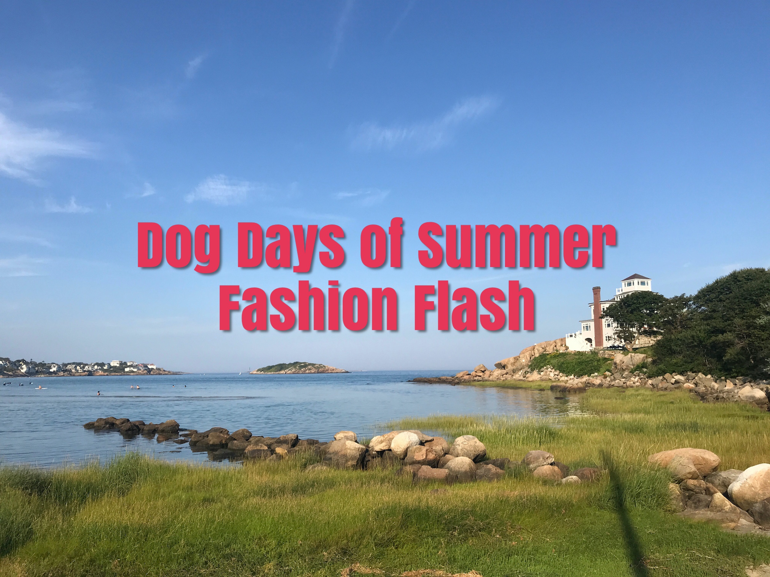 Dog Days of Summer Fashion Flash at Good Harbor Beach