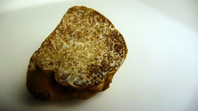 white-truffle