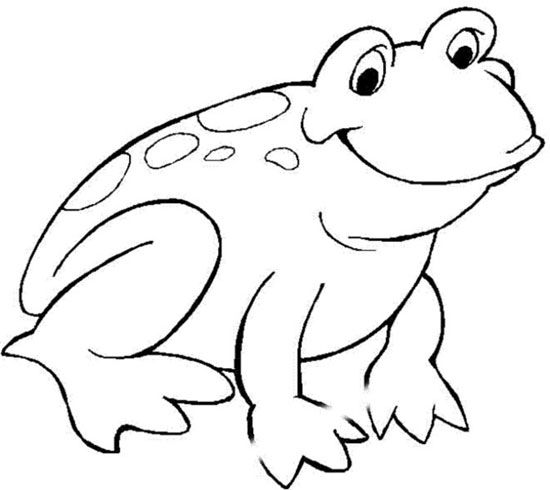 drawing of a smiling frog